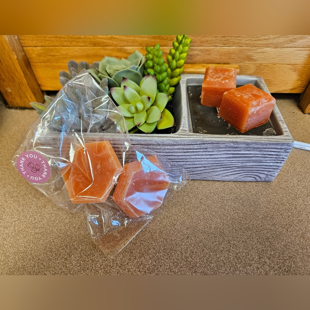 Orange Citrus Wax Melts